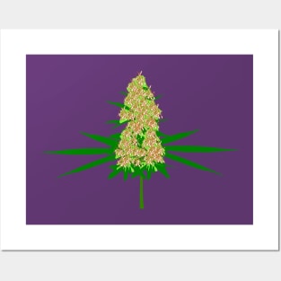 Cannabis plant Posters and Art